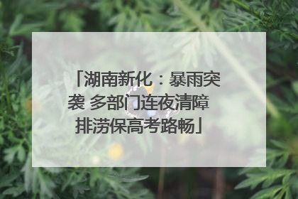 湖南新化：暴雨突袭 多部门连夜清障排涝保高考路畅