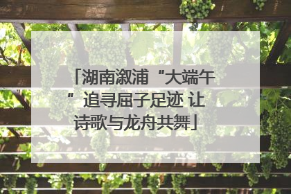 湖南溆浦“大端午”追寻屈子足迹 让诗歌与龙舟共舞