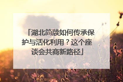 湖北简牍如何传承保护与活化利用？这个座谈会共商新路径