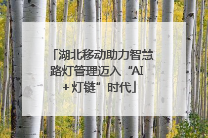 湖北移动助力智慧路灯管理迈入“AI＋灯链”时代