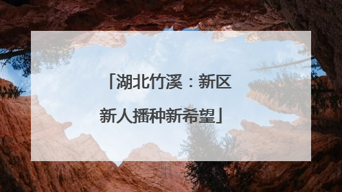 湖北竹溪：新区新人播种新希望