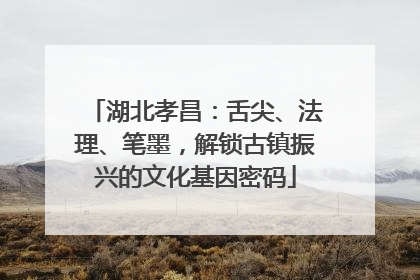 湖北孝昌：舌尖、法理、笔墨，解锁古镇振兴的文化基因密码