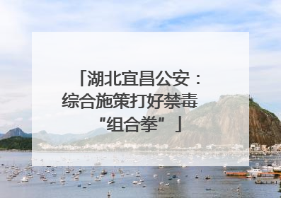 湖北宜昌公安：综合施策打好禁毒“组合拳”