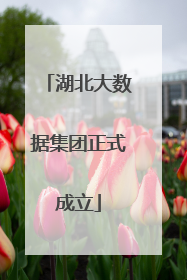 湖北大数据集团正式成立