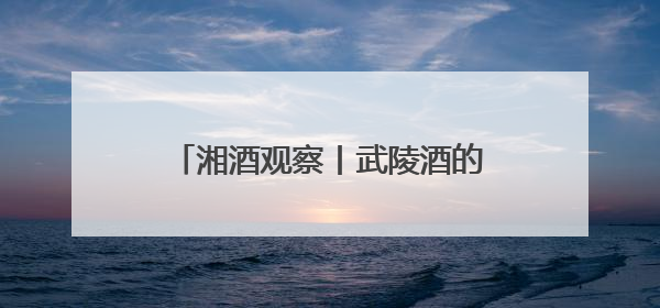 湘酒观察丨武陵酒的三个“五十三 ”