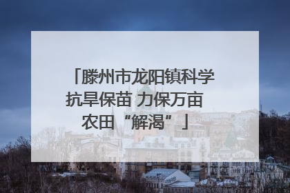 滕州市龙阳镇科学抗旱保苗 力保万亩农田“解渴”