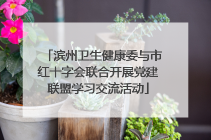 滨州卫生健康委与市红十字会联合开展党建联盟学习交流活动