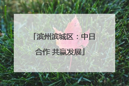 滨州滨城区：中日合作 共赢发展