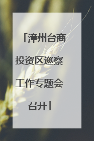 漳州台商投资区巡察工作专题会召开
