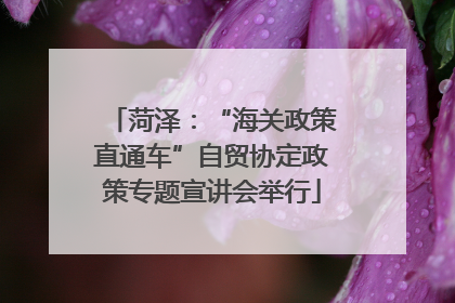 菏泽：“海关政策直通车”自贸协定政策专题宣讲会举行