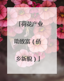 荷花产业助致富（侨乡新貌）