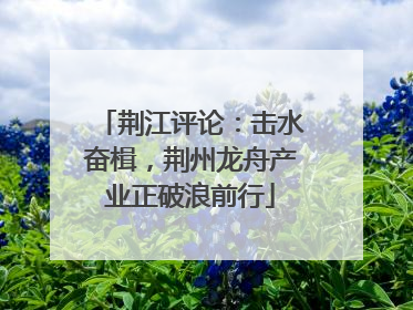 荆江评论：击水奋楫，荆州龙舟产业正破浪前行