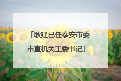 耿建已任泰安市委市直机关工委书记