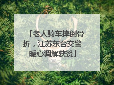 老人骑车摔倒骨折，江苏东台交警暖心调解获赞