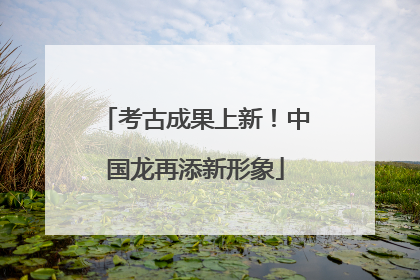 考古成果上新！中国龙再添新形象