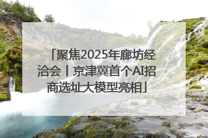 聚焦2025年廊坊经洽会丨京津冀首个AI招商选址大模型亮相