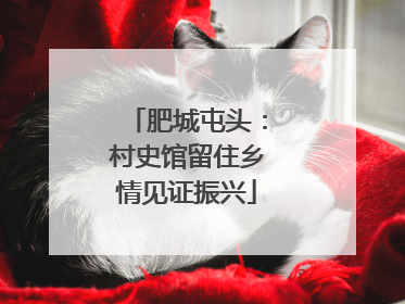肥城屯头：村史馆留住乡情见证振兴