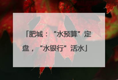 肥城：“水预算”定盘，“水银行”活水