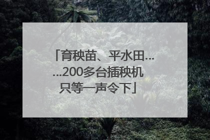 育秧苗、平水田……200多台插秧机只等一声令下