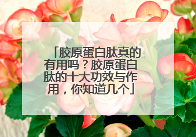 胶原蛋白肽真的有用吗？胶原蛋白肽的十大功效与作用，你知道几个