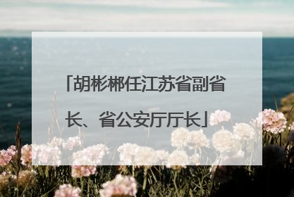 胡彬郴任江苏省副省长、省公安厅厅长