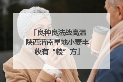 良种良法战高温 陕西渭南旱地小麦丰收有“粮”方