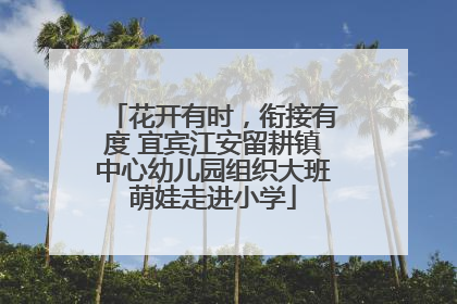 花开有时，衔接有度 宜宾江安留耕镇中心幼儿园组织大班萌娃走进小学