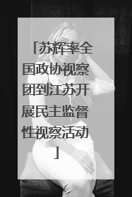 苏辉率全国政协视察团到江苏开展民主监督性视察活动