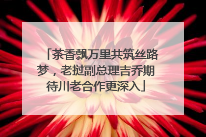 茶香飘万里共筑丝路梦，老挝副总理吉乔期待川老合作更深入