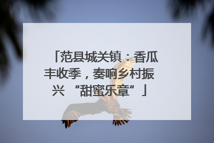 范县城关镇：香瓜丰收季，奏响乡村振兴 “甜蜜乐章”