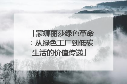 蒙娜丽莎绿色革命：从绿色工厂到低碳生活的价值传递