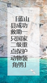 蓝山县成功救助一只国家二级重点保护动物领角鸮