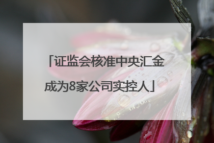 证监会核准中央汇金成为8家公司实控人