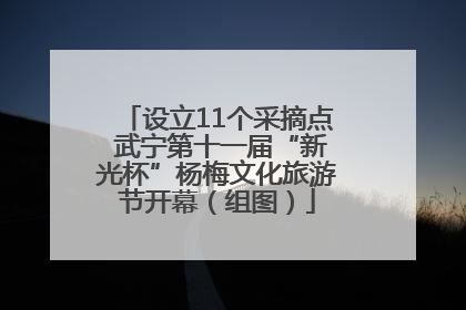 设立11个采摘点 武宁第十一届“新光杯”杨梅文化旅游节开幕（组图）
