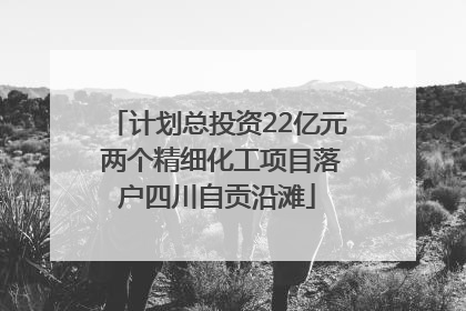 计划总投资22亿元 两个精细化工项目落户四川自贡沿滩
