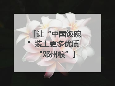 让“中国饭碗”装上更多优质“邓州粮”