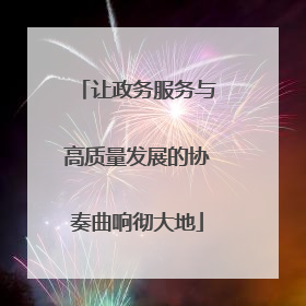 让政务服务与高质量发展的协奏曲响彻大地