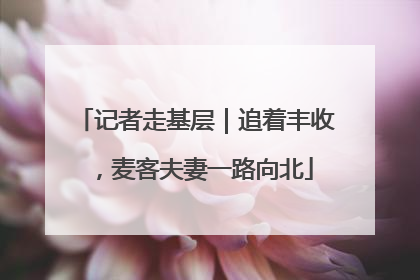 记者走基层｜追着丰收，麦客夫妻一路向北