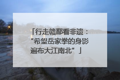 行走赣鄱看非遗：“希望岳家拳的身影遍布大江南北”