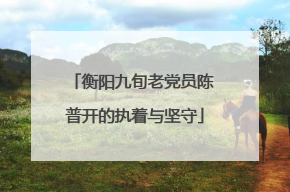 衡阳九旬老党员陈普开的执着与坚守