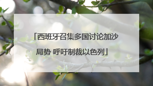西班牙召集多国讨论加沙局势 呼吁制裁以色列