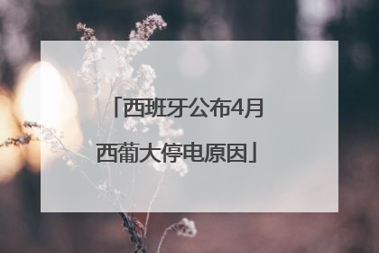 西班牙公布4月西葡大停电原因
