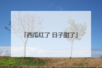 西瓜红了 日子甜了