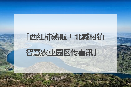 西红柿熟啦！北臧村镇智慧农业园区传喜讯