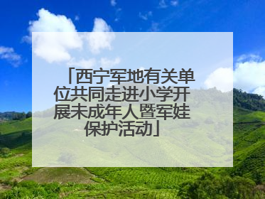 西宁军地有关单位共同走进小学开展未成年人暨军娃保护活动