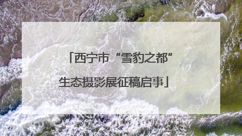 西宁市“雪豹之都”生态摄影展征稿启事