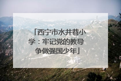 西宁市水井巷小学：牢记党的教导 争做强国少年