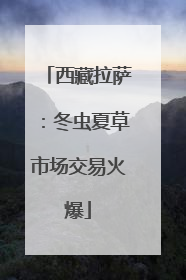 西藏拉萨：冬虫夏草市场交易火爆