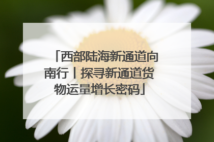 西部陆海新通道向南行丨探寻新通道货物运量增长密码