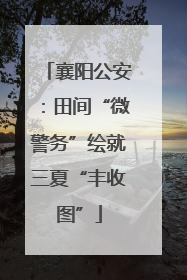 襄阳公安：田间“微警务”绘就三夏“丰收图”